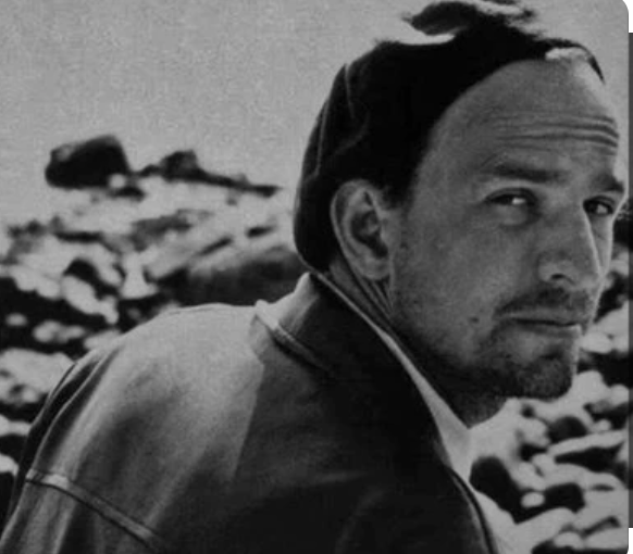 SCENES DE LA VIE CONJUGALE - Ingmar Bergman